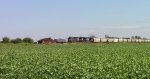 NS grain train tied down